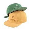 Мужские вельветовые кепки Snapback с вышивкой на заказ, 5 панелей, шляпы04234192
