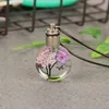 Interior Decorations Luminous Glass Ball Dried Flower Preserved Real Eternal Flowers Decoration Car Pendant Accessories Necklace JewelryInte