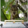 森の中のタペストリー猫はカワイイのかわいい動物アートの風景を吊るします