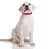 Besticktes Hundehalsband, modisches personalisiertes Haustierhalsband aus Nylon, individuelles Hundehalsband-Zubehör, unabhängig von männlichen und weiblichen Welpen 220610