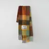 Designer Autumn Winter Silk Scarf Imitation Cashmere Rainbow Plaid Thick Beard Ladies Warm Scarves Shawl Fashion Scarf