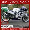 yamaha tzr 250 tzr250 r rs rr tzr250rr tzr-250 92-97 바디 117no.17 녹색 은빛 ypvs 3xv tzr250r 92 93 94 95 96 97 TZR250-R 1992 1993 1994 1995 1996 1997 페어링