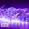 ABD Stok UV Mor Işık Şeridi 12V 600 Birim UVS lamba boncukları 10m LED Siyah Işık Şeridi Dekoratif Işıklar