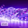 Stock Stock UV Purple Light Pasek 12V Elastyczne czarne światło z 600 jednostką Koraliki z lampy UVS 10 m LED Black Light Ribbon Dekoracyjne światła