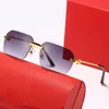 sunglasses men Fashion Designer Black Sunglasses for Mens Woman Rimless Brown Clear Glasses with Sprial Frame Gold and Silver Metal Legs Eyewear Hexagonal 8YJX