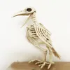 Skelet Raven100% Plastic Animal Skeleton Bones voor Horror Halloween Decoratie 200929