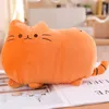 Kawaii gatto peluche cuscino cuscino gattino cuscino morbido colorato farcito giocattoli grigi rosa bianco peluche bambola regali regali per la fidanzata