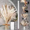 Flores decorativas grinaldas 100pcs buquê natural pampas seco de grama flor boho decoração para casamento floral