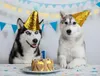 犬のアパレル高品質の帽子の誕生日帽子キラキラスタースパンコール子犬パーティー衣装猫帽子accessorydog