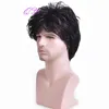 Hommes cheveux synthétiques brun ombre lin couleur courte droite hommes perruque style de mode naturel pour homme quotidien ou fête taille réglable 0527