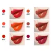 Lipgloss 6 kleuren naakt matte vloeistof lippenstift waterdichte langdurige hydraterende lipgloss make -up cosmetica wens22