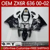 OEM-Karosserie für KAWASAKI NINJA ZX-6R ZX 6R 600 CC 6 R Silberne Flammen ZX-636 ZX-600 00-02 Karosserie 133Nr.166 ZX 636 600CC ZX636 2000 2001 2002 ZX600 ZX6R 00 01 02 Einspritzverkleidung