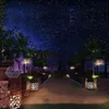 Smart Automation Modules PC Solar Powered Outdoor Grass Globe Dandelion Lamp LED For Garden Lawn Landscape Holiday LightSmart