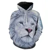 Sweat-shirt à capuche pour hommes, nouveauté, flamme, Lion, vêtements d'animaux, drôle, imprimé en 3D, vêtements de sport unisexes