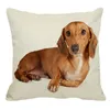 Travesseiro de travesseiro xunyu desenho animado dacshund travesseiro de cachorro home sofá travesseiro quadrado almofada de animal fofo padrão decorativo 45x45cm AC025 220714