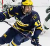 2022 NCAA Custom Michigan Woerines Ed Hockey Jersey 37 Jack Leavy 43 Luke Hughes 51 Garrett Van Wyhe 55 Jake Gingell 56 Dylan Nick Granowicz Ethan Edwards