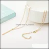 Pendant Necklaces Simple Chain Bar Long Rod Jewellery Gold/Sier Color Collier Femme Choker Necklace Drop Delivery 2021 Jewelry Pendant Dhsff