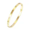 Amante feminino pulseira espiral designer pulseira fina prata banhado a ouro jóias de luxo masculino casal de aço titânio simples moda diamante manguito pulseira