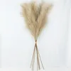 5Pcs Faux Pampas Grass Large 12010085cm Bouquet di fiori Falso Artificiale Pampas Erba Decor Alto Soffici Steli Soggiorno Decor 220815