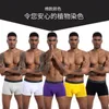 Caleçon Homme Sous-Vêtements Coton Boxer Shorts Mode Imprimé Ceinture 4 BoxesSous-Vêtements