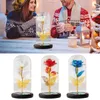 Couronnes de fleurs décoratives LED Rose éternelle s'allument dans un dôme en verre Fleur artificielle pour toujours avec feuille d'or Papillon Cadeaux uniques pour maman