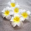 6Pcs Plumeria Bloem Haar Clips Voor Vrouwen Meisjes Haarspelden Ei Bloem Barrette Hawaiian Wedding Party Bag Hoed Accessoires Dropship