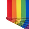 Autres ustensiles de cuisine arc-en-ciel en néoprène couverture de tasse de bière de bière de bière couvre-bouteille d'eau en néoprène sac à manches isolées LGBT peut des boissons sachet sachet