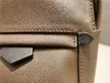 Палм -Спрингс мини -рюкзаки коричневые монограммы Canvas PU