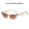 Sexy Sunglasses for women Trend lens hip female vintage small black PC frame cat eye sunglasses Europe America fashion simple Net red star