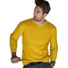 Pulls pour hommes Cross Brorder Automne et Hiver Fashion Leisure Low Round Round Nou Tricoted's