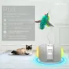 Smart Interactive Cat Toy LrRegular Modo de Rotação Gatos Gatos Engraçados Pet Game Eletrônico Gato Brinquedo Levado Penas Brinquedos De Luz Brinquedos Kitty Bolas 220423