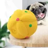 Chien mâcher des jouets pour animaux de compagnie fournit la boule de latex Sound Small Medium Dog Hortensia Molaire résistant à la bouchée Anti-démolition