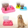 Automatic Pets Feeder SelfDispensing Gravity Cats Dogs Water Food Dispenser Double Bowl Pet Puppy And Drinkers Y200917