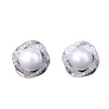 Charm S925 silver needle Earrings AAA zircon fashion pearls versatile Rose Earrings womanhood net red manufacturer