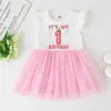 Girl039s Dresses Baby Girl 16 Year Dress Cute Donut Number Birthday Outfit Summer Clothes Kids Party Tutu Outfits7536796