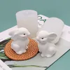 Cake Mold 3D Easter Rabbit Bunny Shape Food grade Silicone Gift Cookies Easy 220601