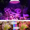 LED Grow Light E27 220V طيف كامل مصباح Phyto المصباح 60leds للنباتات الداخلية نظام الزهور الزهور