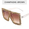 Moda Big Frame Trend Sunglasses