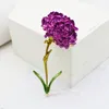 Mode Carnation Flower Broches Cadeaux Pour Femmes Alliage Épinglette Mariages Mariages Party Bijoux Corsage Vêtements Accessoires