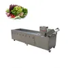 Bubble Fruit Washing Machines Industrial Commercial Vegetable Washer