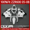 Spritzgusskörper für KAWASAKI NINJA 600CC ZZR600 05 06 07 08 Karosserie 134Nr