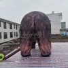 現実的なインフレータブル牛3/4/5ml巨大な屋外空気吹き動物モデルのイベント展示会で中国で作られた展示