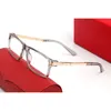 claissc designer homme lunettes de soleil cadres optique artiste rectangle corne de buffle métal léopard mode masculine unisexe vintage avec étui w8385623