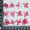 Decoratieve bloemen kransen Hydrangea geperste bloem voor hars sieraden gedroogd diy epoxy telefoonbedekking ambachtelijke kunst canlde soap plakboek 12pcs/ba