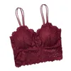 Bustiery gorsets elastyczne zbieranie bralette push up Bra anty-światło koreański styl dziki tube top sexy no felgów kwiatowy cami topsbus