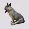 개를 위한 조절 가능한 가죽 스트랩이 있는 발트 앰버 벼룩 및 틱 칼라 고양이 실험실 테스트 220722