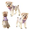 Colliers pour chiens Laisses Harnais de poitrine pour chat réfléchissant Sangle réglable Petit Moyen Grand Laisse Pet Bichon SuppliesDog