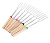 Rostfritt stål BBQ Marshmallow Poultry Tools Roasting Sticks Extending Roaster Telescoping Cooking/Baking/Barbecue HWA13427