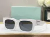 Lunettes de soleil pour hommes et femmes Luxury Cool Fashion Hot Fashion Classic Épaisse plaque Blanc White Square Frame Eyewear Off Man Glasshes Good Np6i