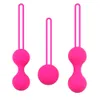 Produits pour adultes Un ensemble complet de dispositif de masturbation pour femmes boule vaginale Kegel Shrink en silicone pour boules de geisha sexy